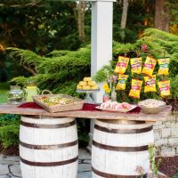 Southern Events Kids Party Rentals Childrens Birthday Theme - Country Picnic Fair-1