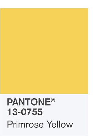 Pantone Primrose Yellow