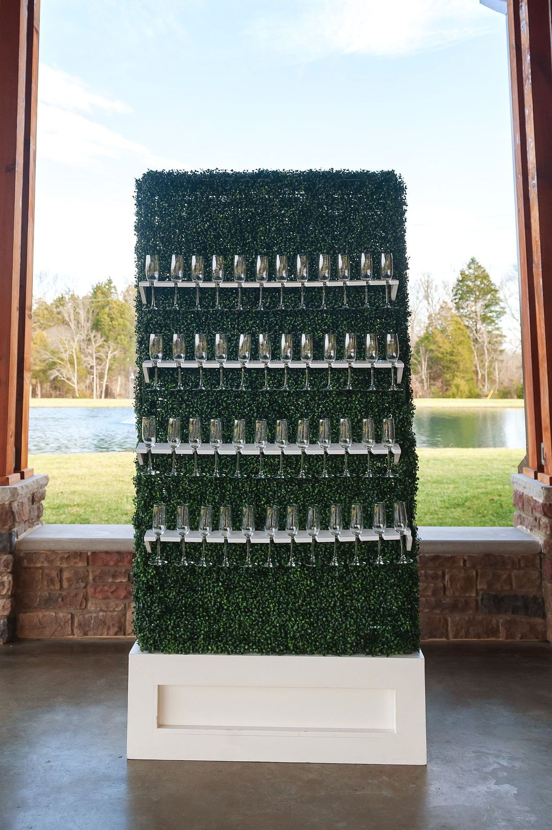 champagne box hedge wall display