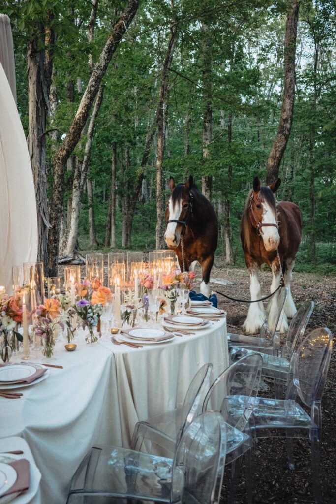 fairytale farm wedding in nashville