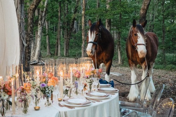 fairytale farm wedding in nashville