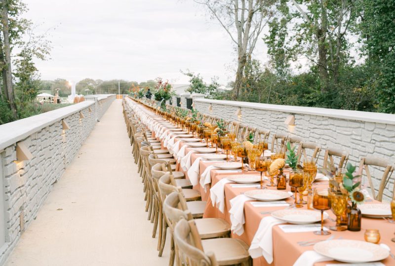 southern-events-party-rental-company_franklin-nashville_social-nonprofit-gala-dinner-on-the-bridge_Harlinsdale-park-Franklin-tn-2