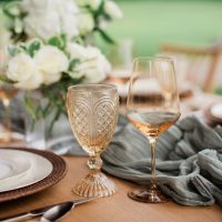 southern-events-party-rental_franklin-nashville_holiday-party-christmas-hannukah-thanksgiving-new-year-event-rentals-49sq
