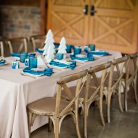 southern-events-party-rental_franklin-nashville_holiday-party-christmas-hannukah-thanksgiving-new-year-kids-party-rentals-1