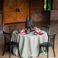 southern-events-party-rental_franklin-nashville_holiday-party-christmas-hannukah-thanksgiving-new-year-kids-party-rentals-2