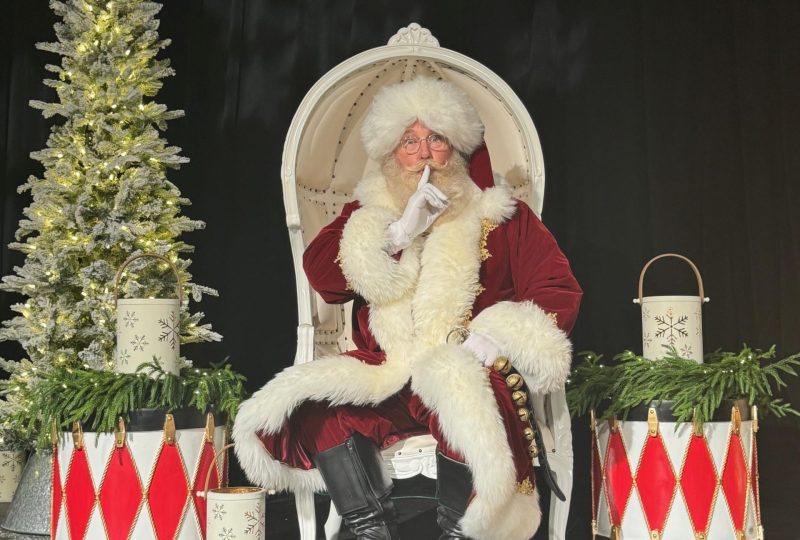 southern-events-party-rental_franklin-nashville_holiday-party-christmas-hannukah-thanksgiving-new-year-kids-party-rentals-3-2 southern-events-party-rental_franklin-nashville_holiday-party-christmas-hannukah-thanksgiving-new-year-kids-party-rentals-3-2
