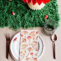 southern-events-party-rental_franklin-nashville_holiday-party-christmas-hannukah-thanksgiving-new-year-kids-party-rentals-4