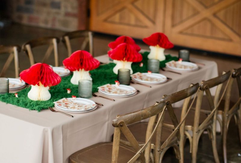 southern-events-party-rental_franklin-nashville_holiday-party-christmas-hannukah-thanksgiving-new-year-kids-party-rentals-5 southern-events-party-rental_franklin-nashville_holiday-party-christmas-hannukah-thanksgiving-new-year-kids-party-rentals-5