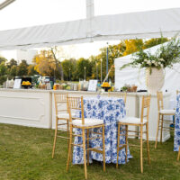 corporate picnic rentals