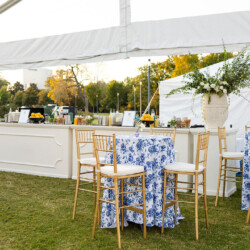 corporate picnic rentals