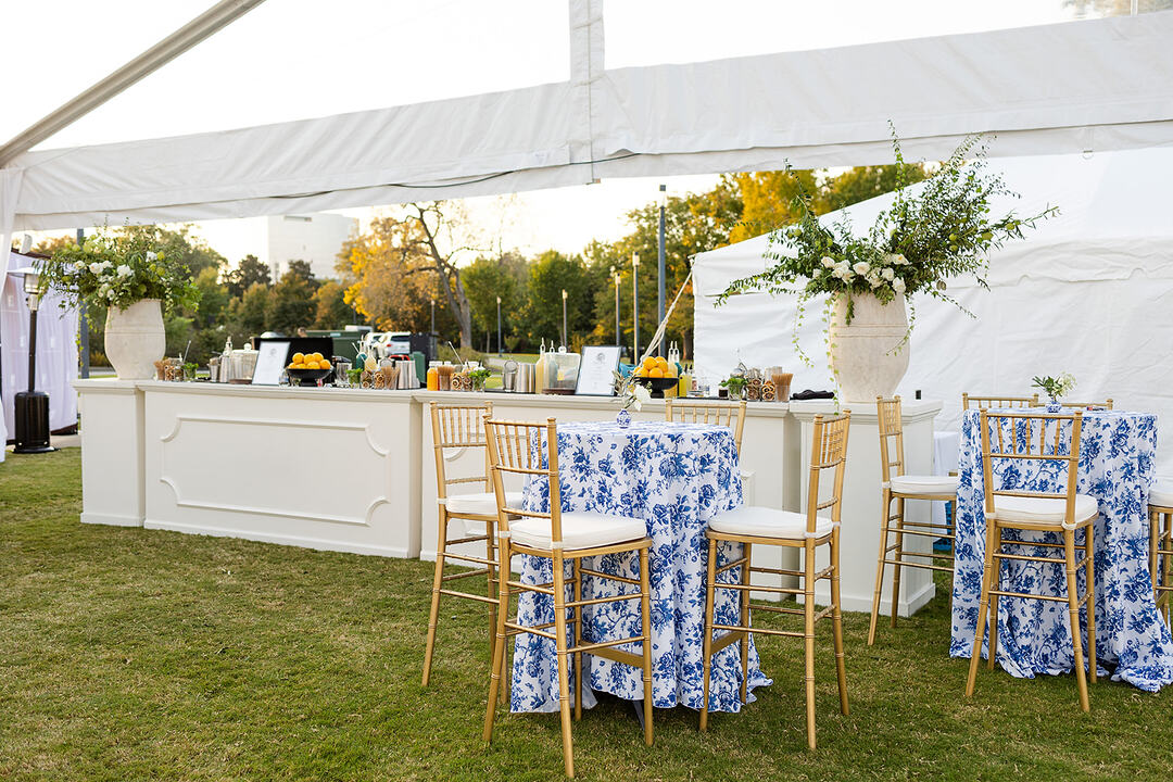 corporate picnic rentals